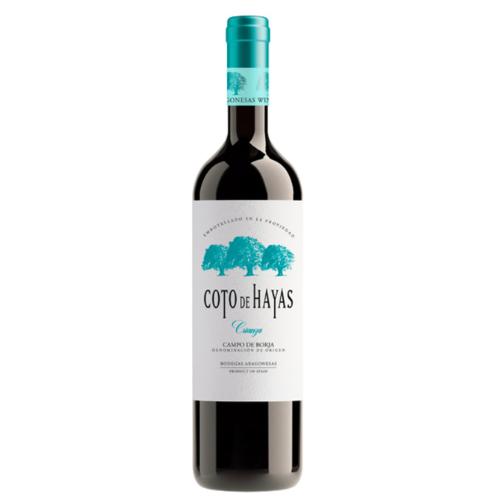 Coto de Hayas Crianza 2019